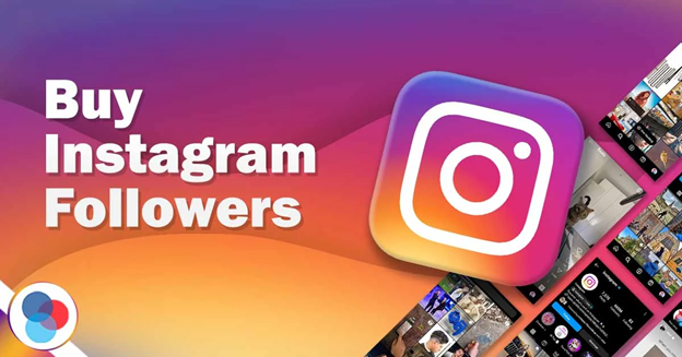 Instagram & TikTok Followers