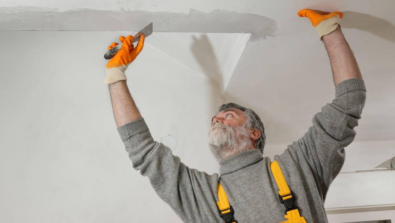 plastering service Auckland professional wall finishing