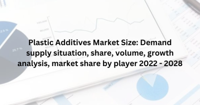 Plastic Additives Market Size: Demand supply situation, share, volume, growth analysis, market share by player 2022 - 2028