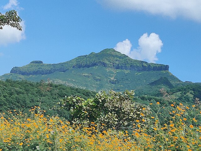 Purandar Fort