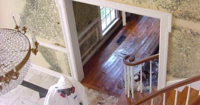 Remove Mold from Home