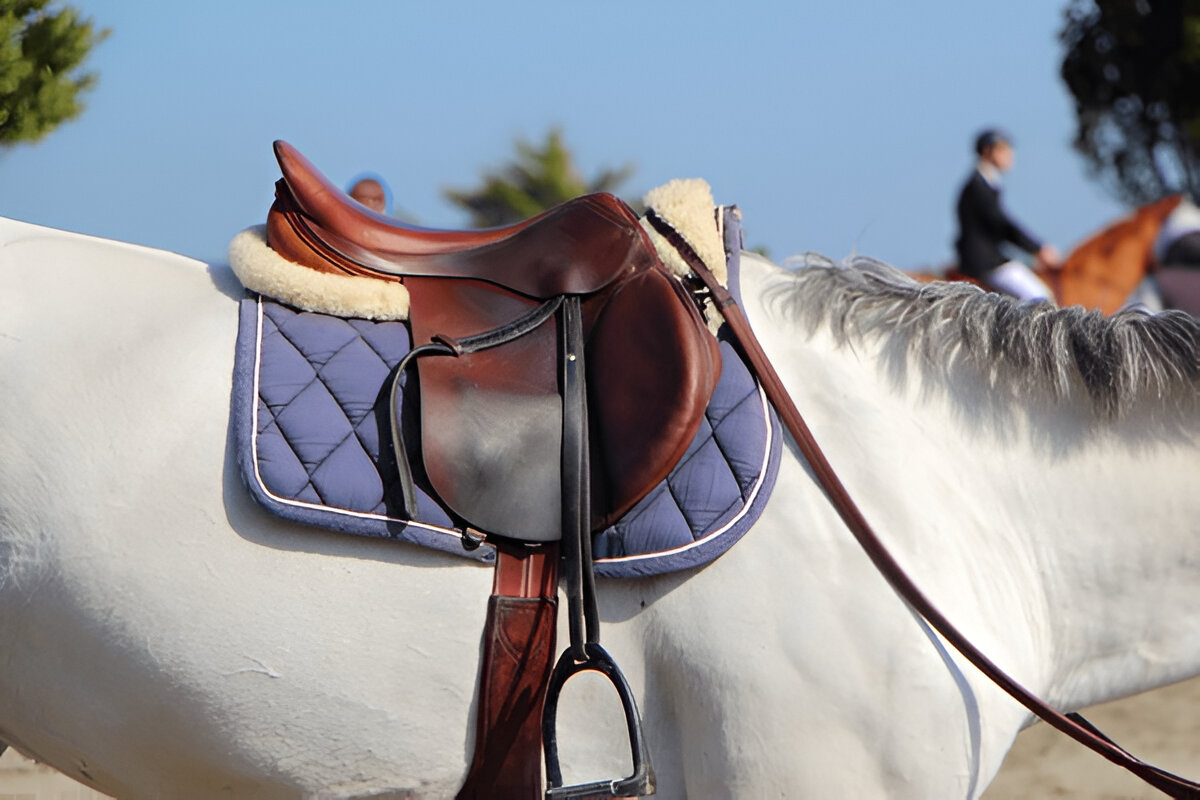Horse Saddle Pads