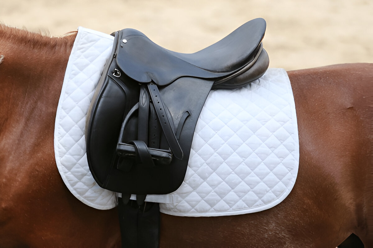 Horse Saddle Pads