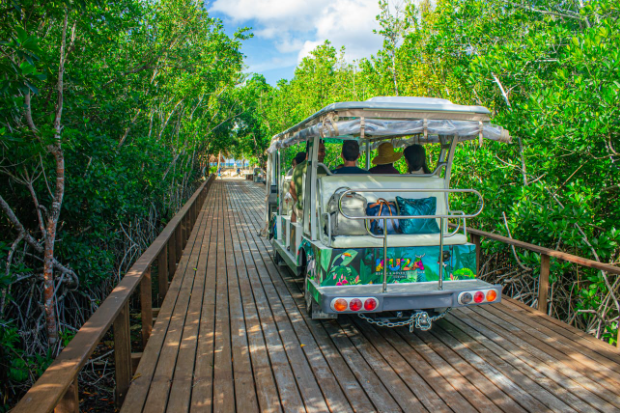 Why Cozumel Feels Like the Caribbean’s Hidden Adventure Playground