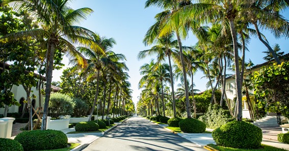Six Best Things To Do In South Florida & List Of Top Activities And Places To Go