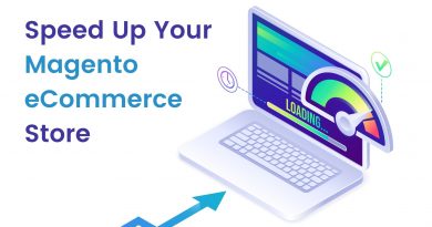 Speed Up Your Magento eCommerce Store