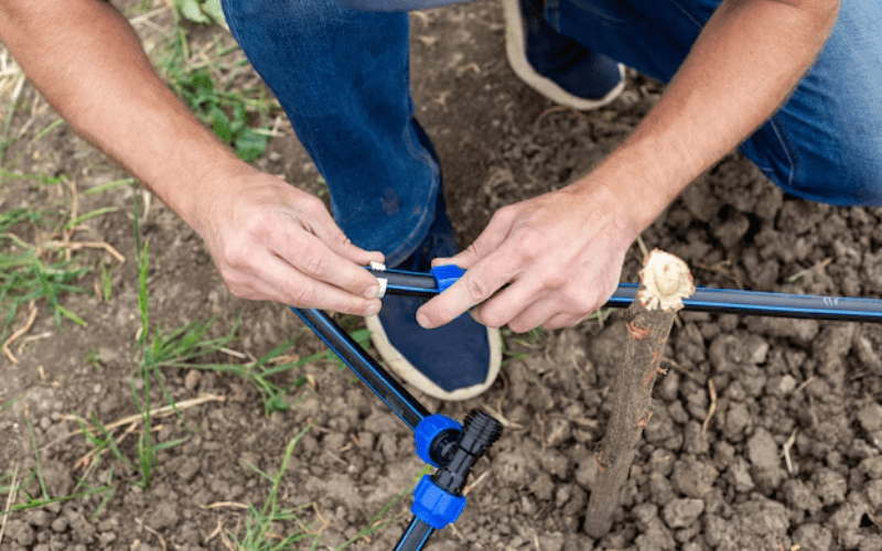 Cumming GA sprinkler services