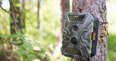 Stripping Some Misconception About The Trail Cameras