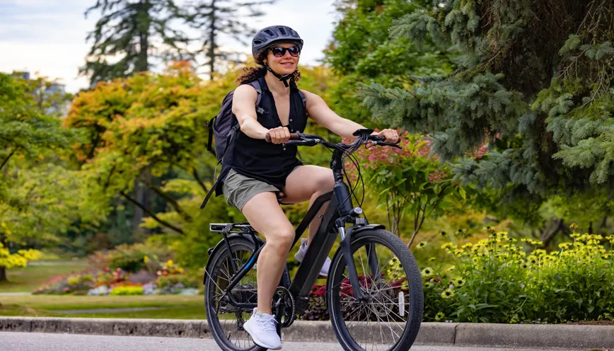 TST® Carrier 20'' Cargo Electric Bike