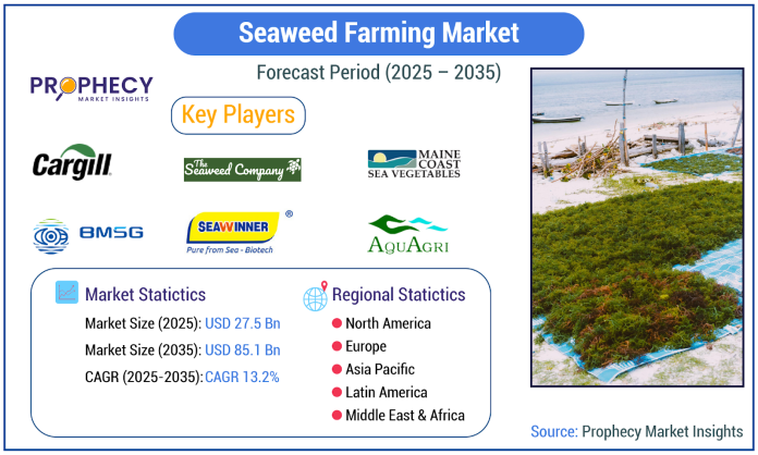 The Green Gold Rush: Seaweed Farming Redefines Ocean Agriculture