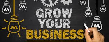 small businesses to grow fast