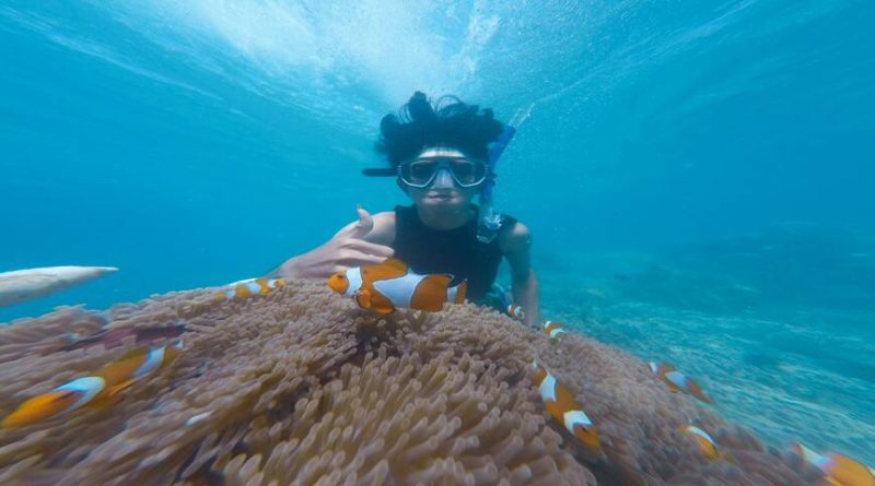 Top 9 Tips for a Snorkeling Beginner