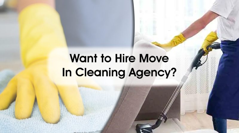 move in cleaning agency