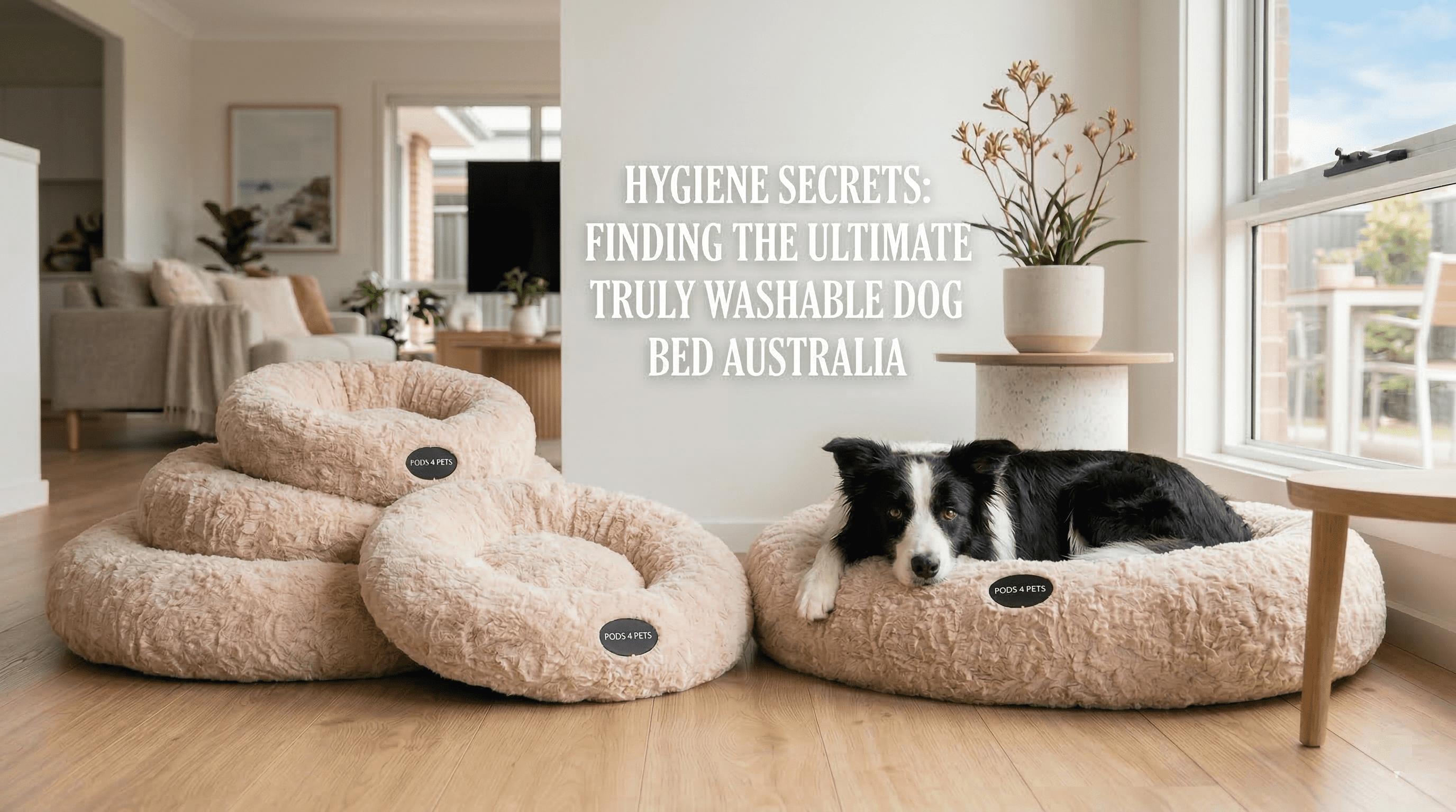 Best washable dog beds Australia - Pods4Pets luxury large dog bed with washable cover.
