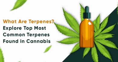 What Are Terpenes Explore Top Most Common Terpenes Found