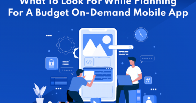 What To Look For While Planning For A Budget On-Demand Mobile App