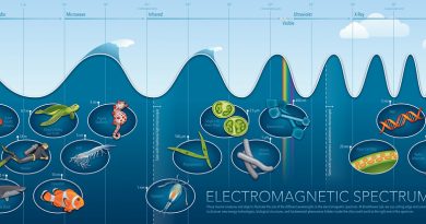What are electromagnetic spectrum and gene prediction in prokaryotes and eukaryotes