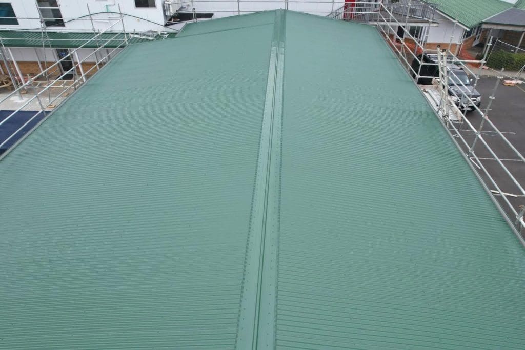 Auckland's Premier Roof Painting Specialists