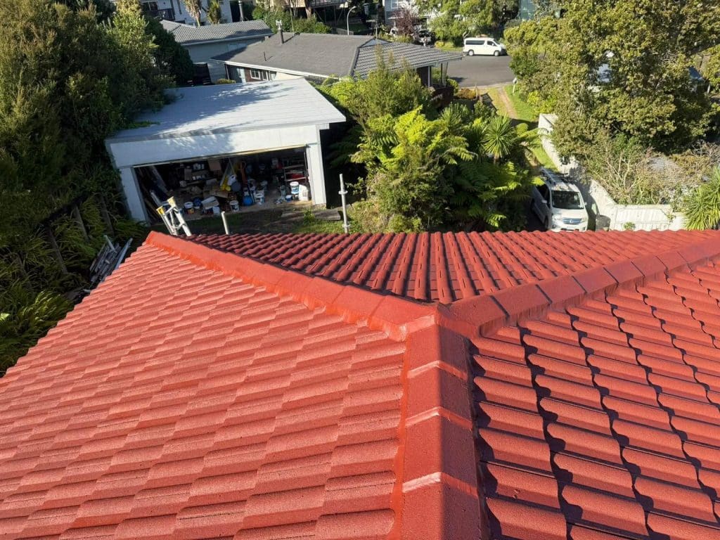 Auckland's Premier Roof Painting Specialists