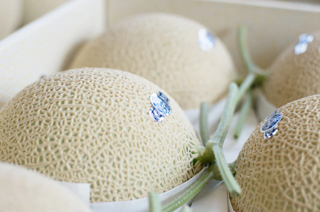 Japanese Crown Melon