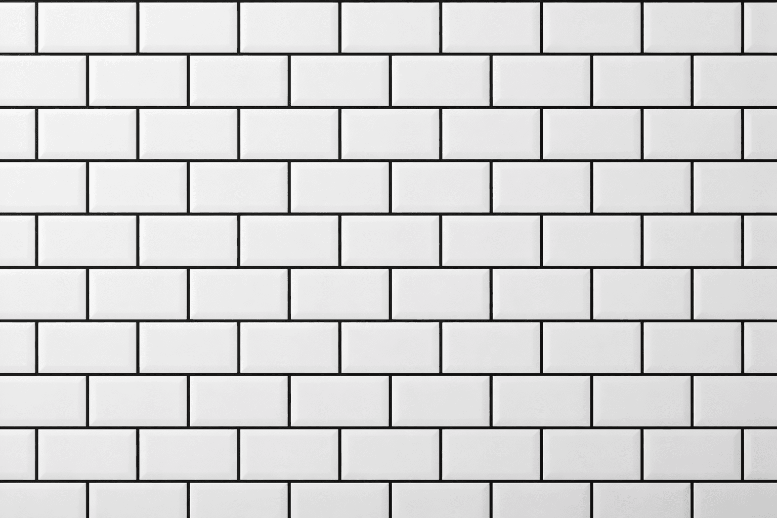 White Subway Tile with Black Grout