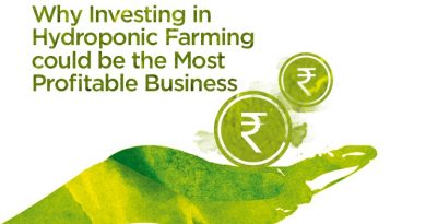 Why Investing in Hydroponic Farming could be the Most Profitable Business