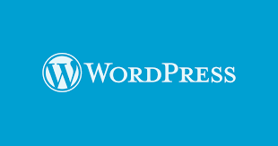 Why WordPress is Important for Newbies