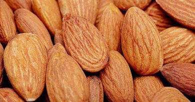 Almond Protein Market