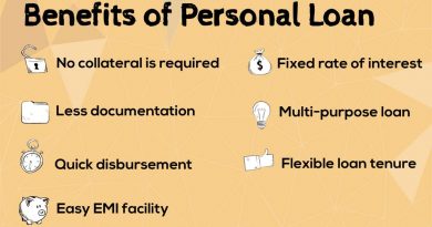 Personal Loan Details