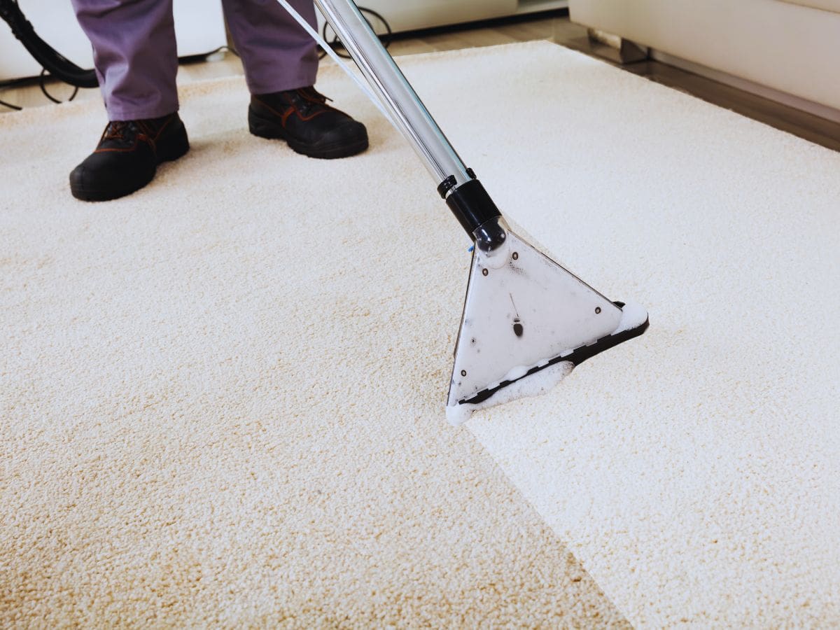 carpet cleaning services
