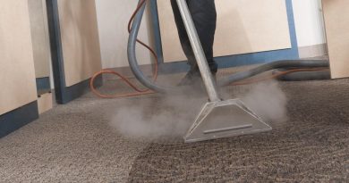 Is Steam Carpet Cleaning A Help Or Not?