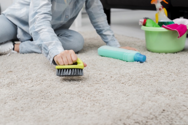 Professional Results | Carpet Cleaning Windsor