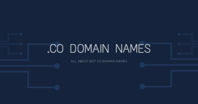 .co domain names