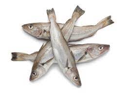 Health Benefits of Pacific Whiting