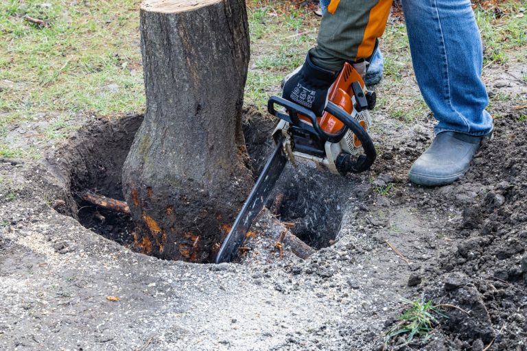 Tree Stump Grinding