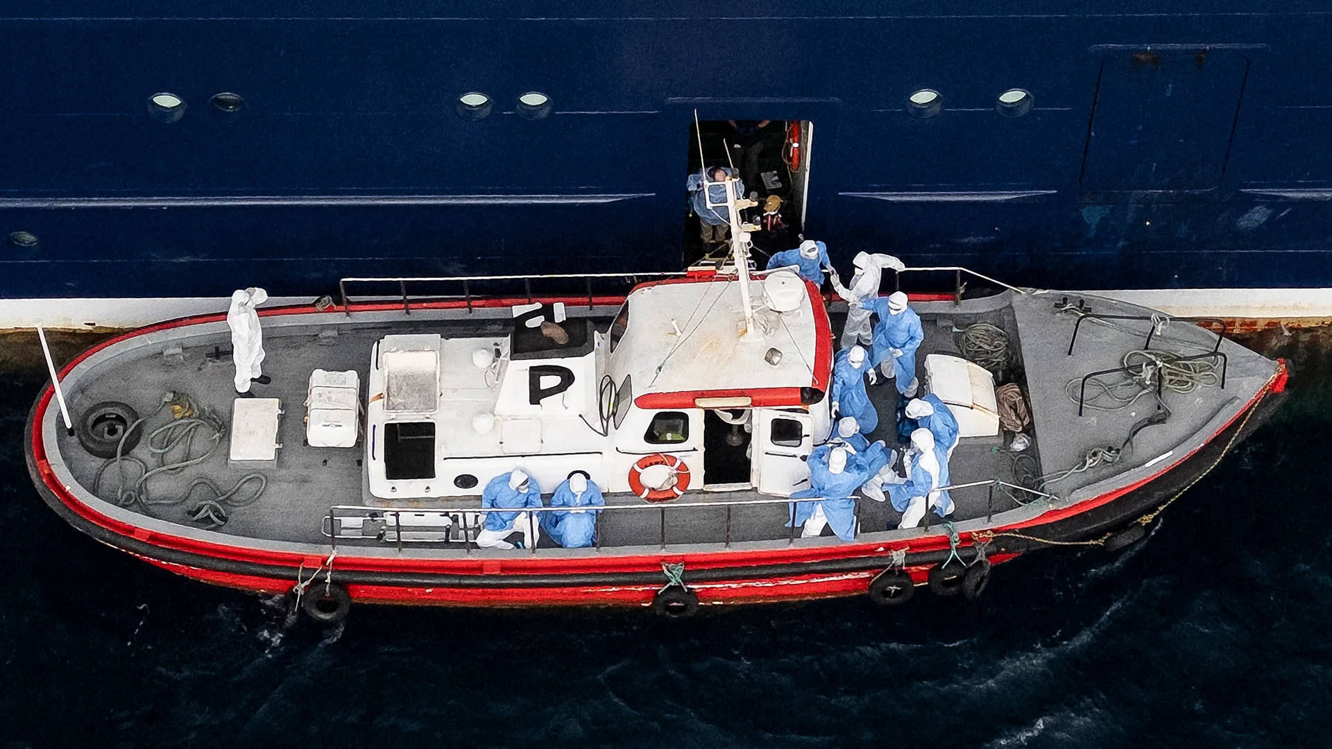 A Closer Look at the Mysterious Hantavirus Cruise Ship Outbreak