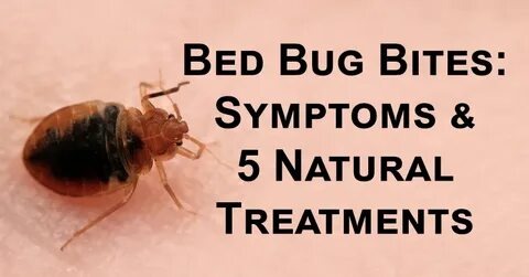 When Bed Bug Symptoms Trigger PTSD-Like Experiences