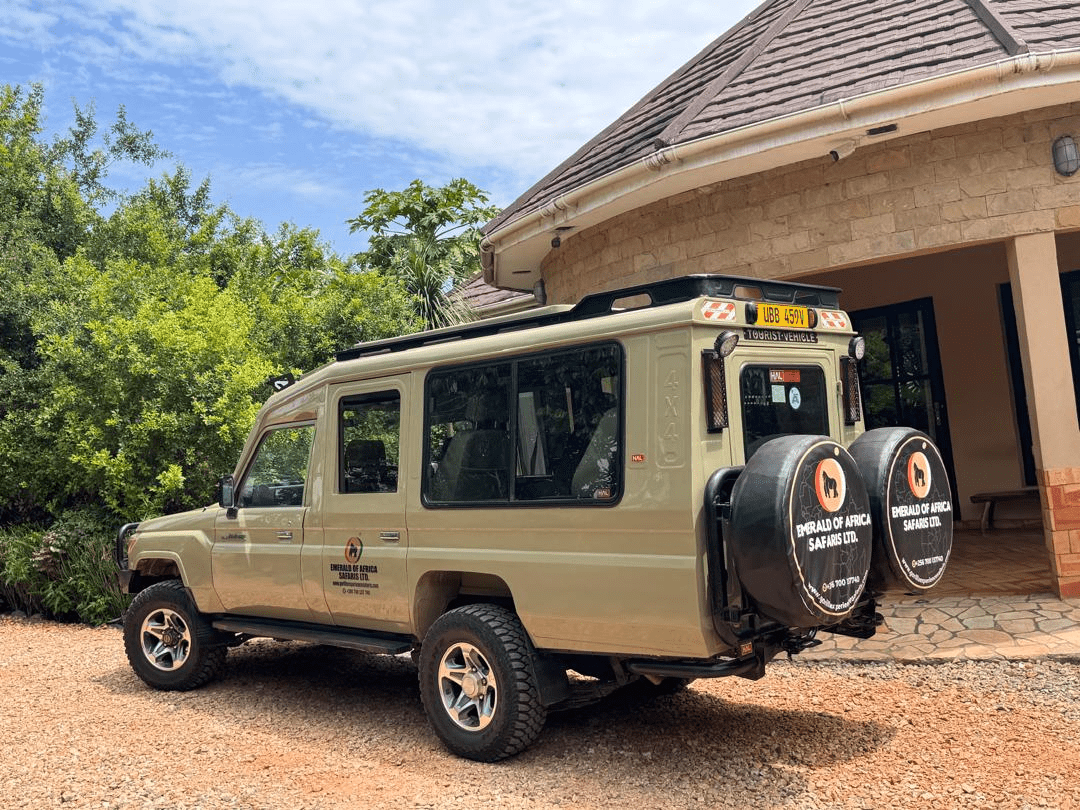 Into the Wild Heart of Africa – Gorilla Trekking, Rwanda Safaris & Uganda Safari Wonders