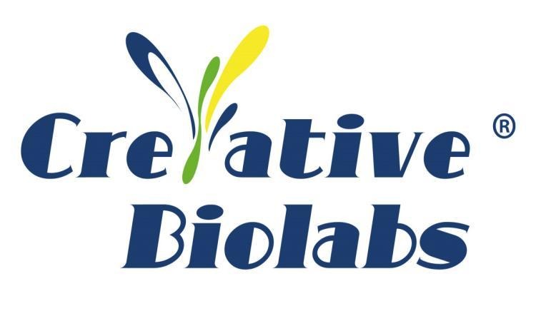 Creative Biolabs Enhances Global Biologics Pipelines with Advanced Display Libraries and Custom Antibody Conversion Platforms