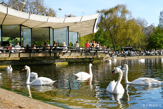 hyde park things to do