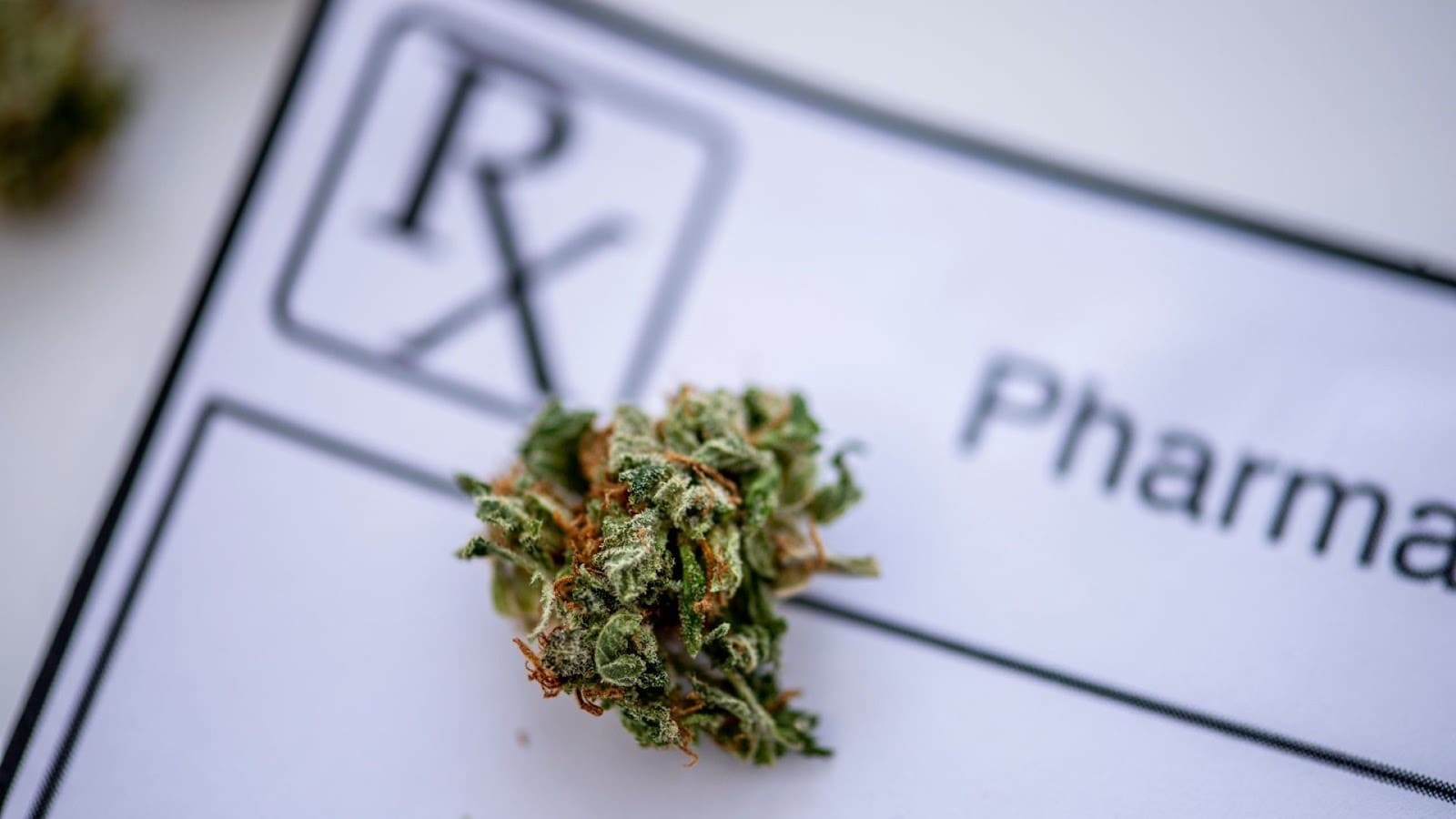 Mason Carbone: The Strategist Behind Today’s Fast-Rising Music Careers