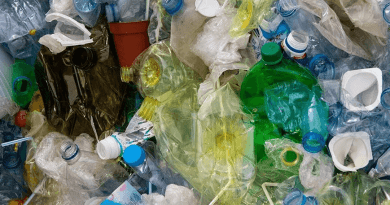 landfill-bottles