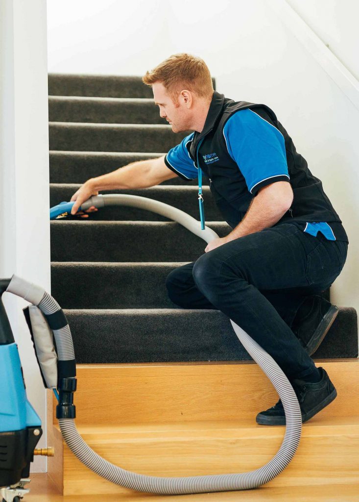 Home - Carpet Cleaning Springfield