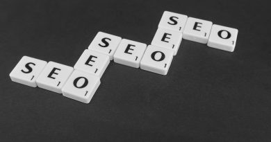 Red Deer Search Engine Optimization