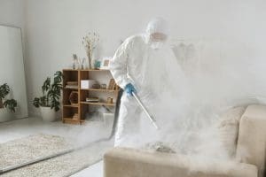 How Toronto Homeowners Can Prevent Common Pest Problems Year-Round