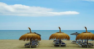 Top 9 Tips for Choosing Beach Umbrellas