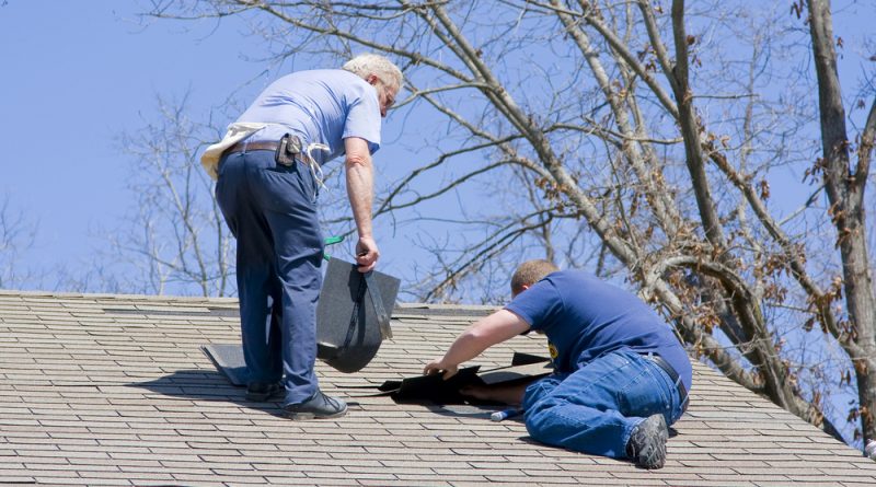 professional roof repairs