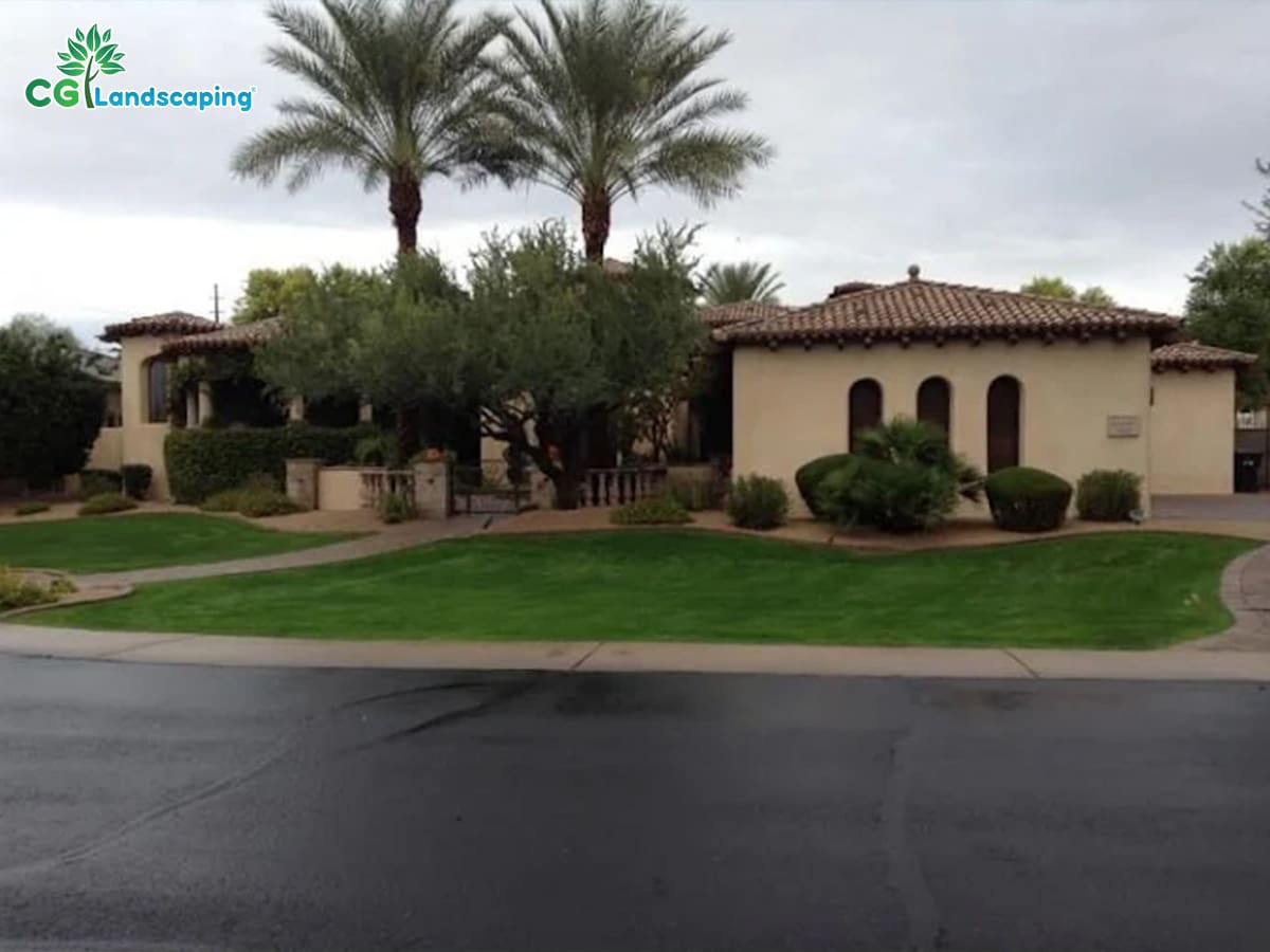 Residential landscape maintenance in Phoenix