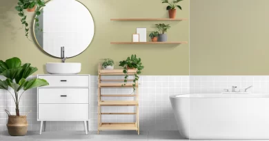 12 Reasons why Bathroom Accessories are Essential for Homeowners