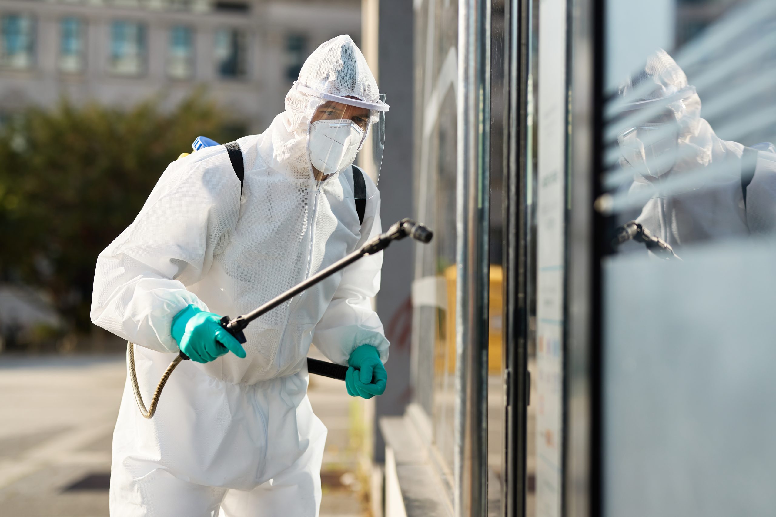 North Lanarkshire Pest Control: Premium Solutions for Homes and Businesses